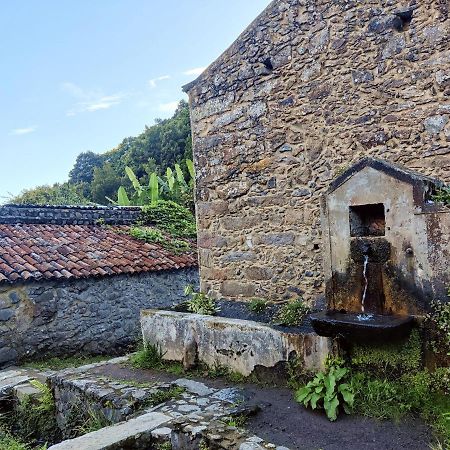 Aldeia Do Sanguinho Otel Faial da Terra Dış mekan fotoğraf