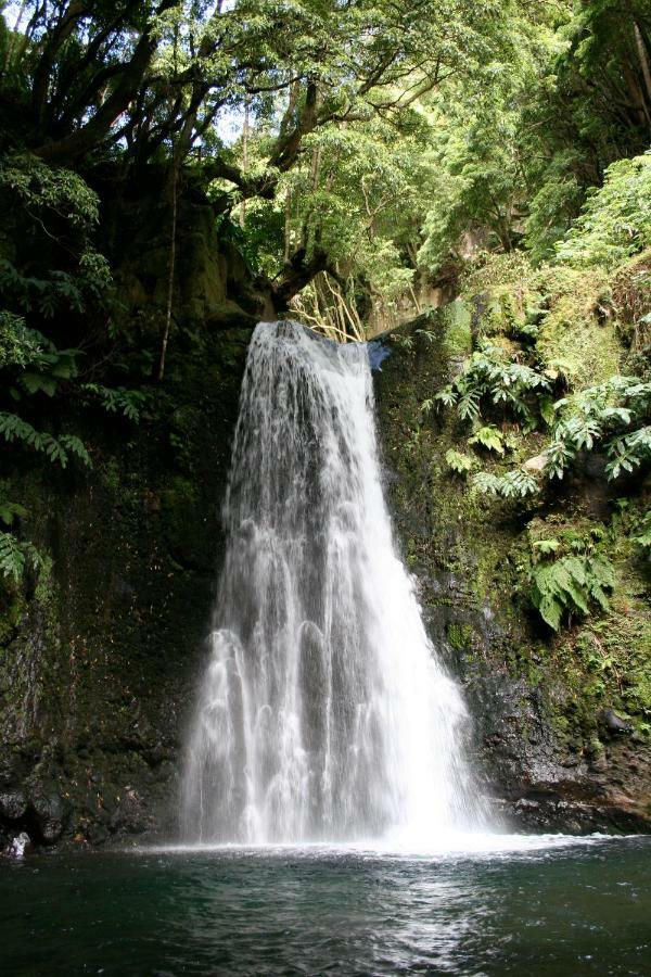 Aldeia Do Sanguinho Otel Faial da Terra Dış mekan fotoğraf